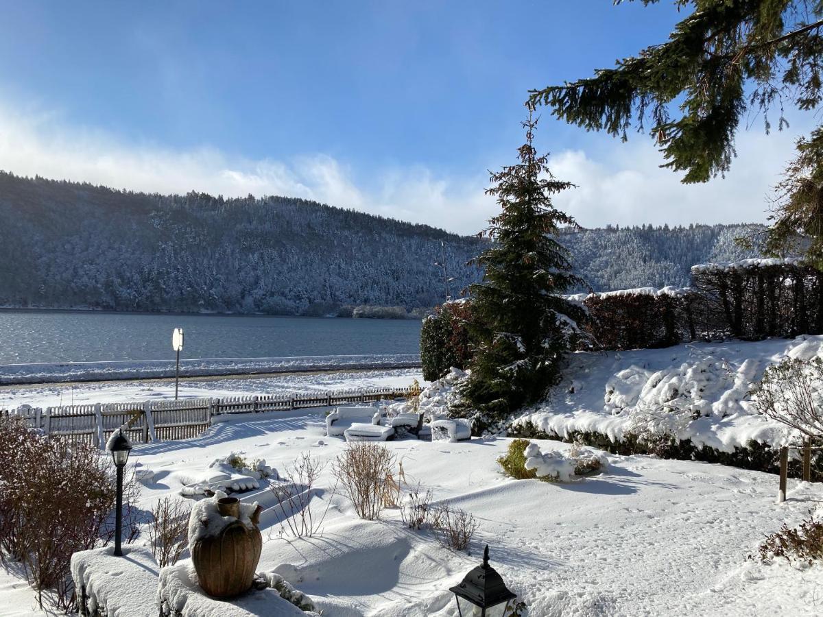 Hotel La Bonne Hotesse Chambon-sur-Lac Exteriér fotografie