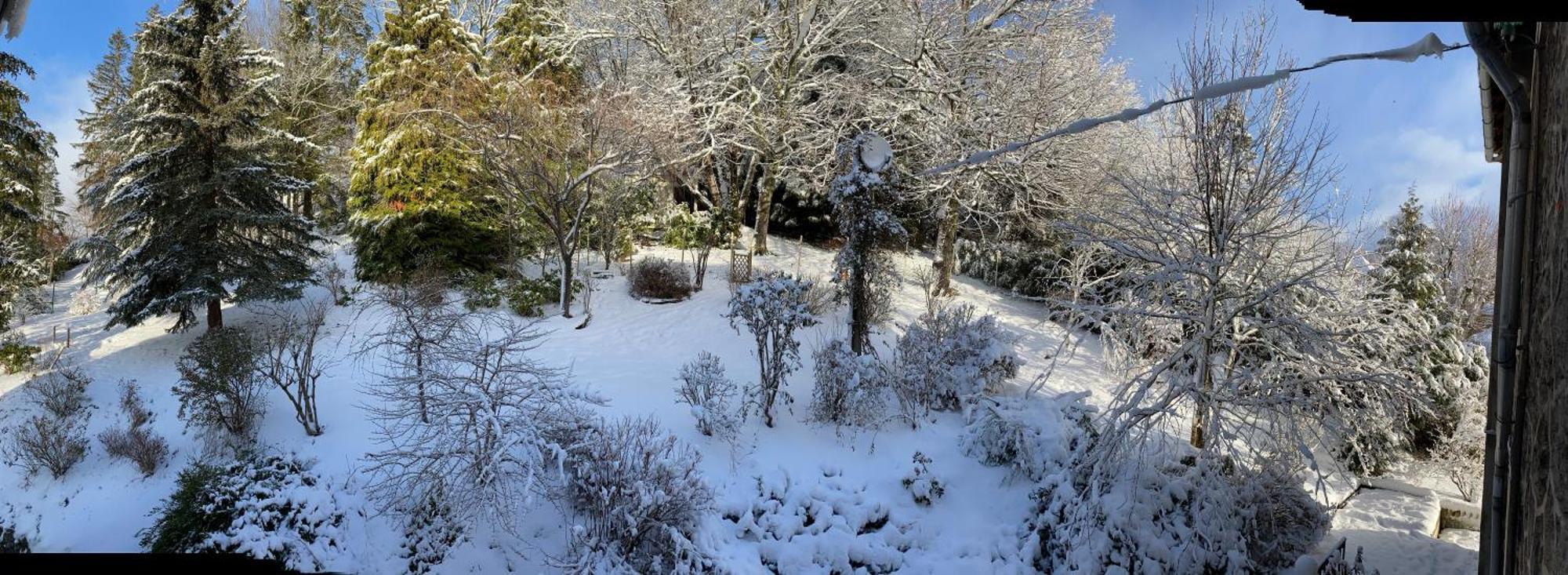 Hotel La Bonne Hotesse Chambon-sur-Lac Pokoj fotografie